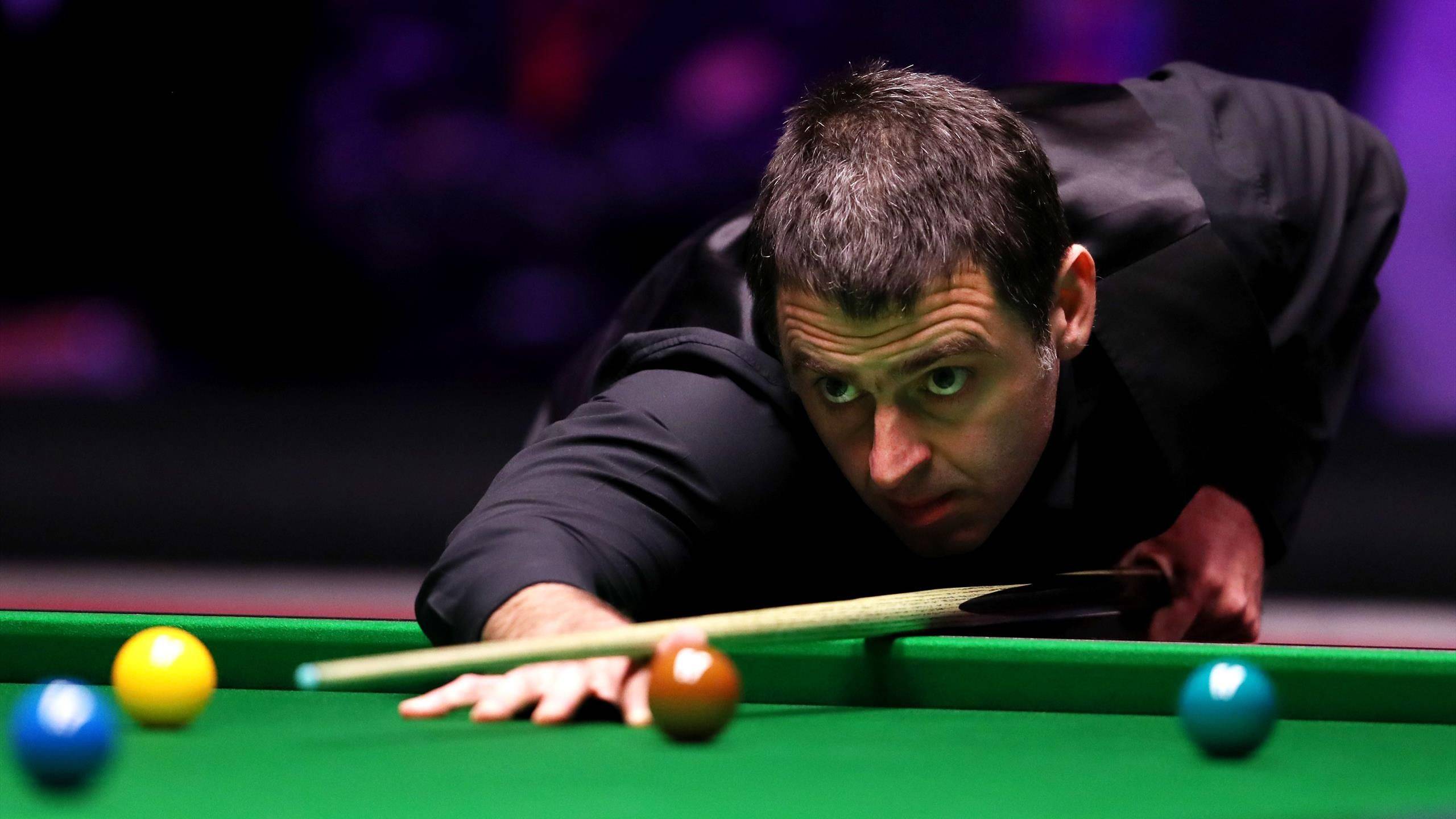 顿的两粒进 顿的两粒进